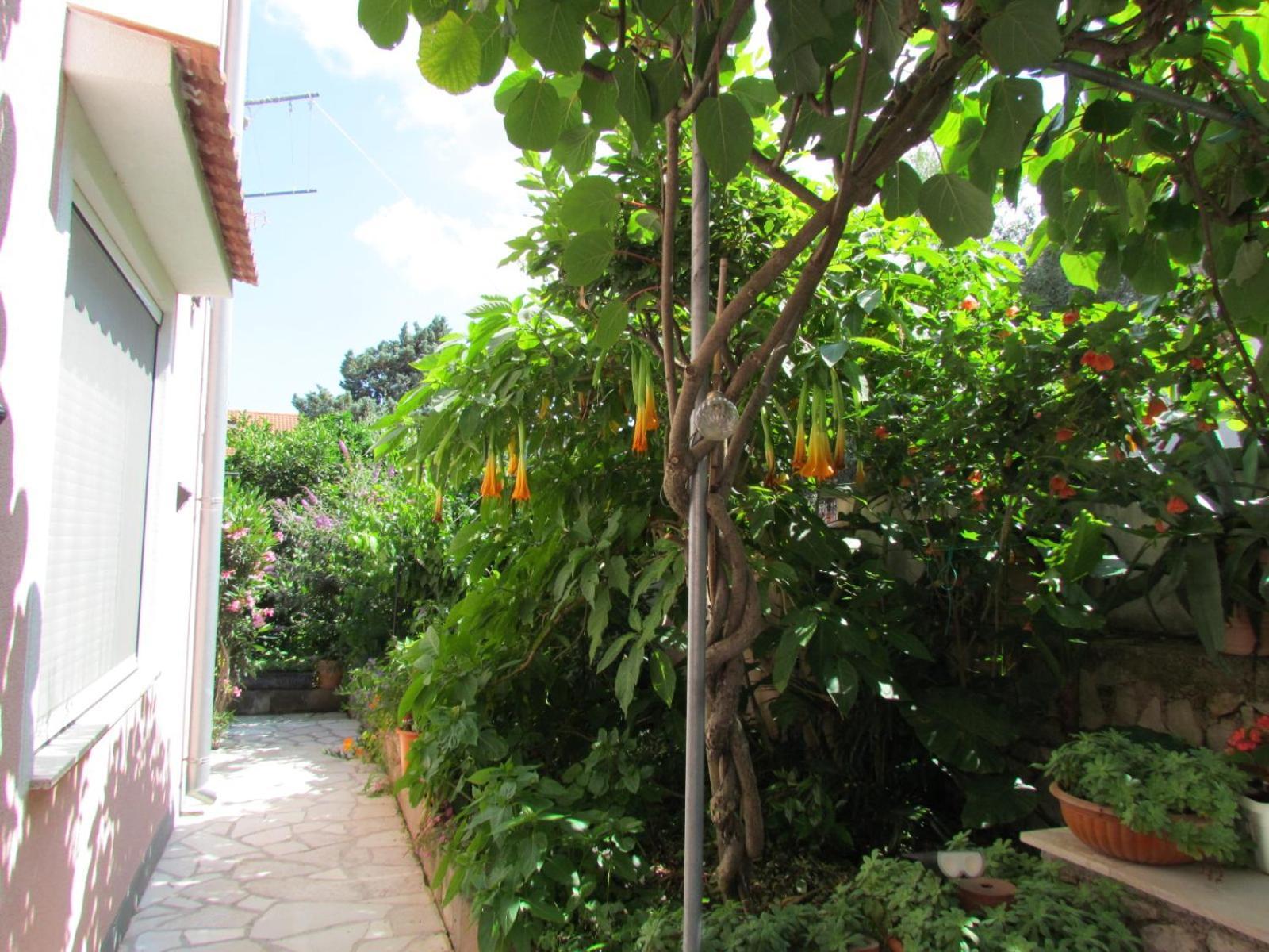 Apartments Bura & Jugo, Cres, Without Stress Ngoại thất bức ảnh