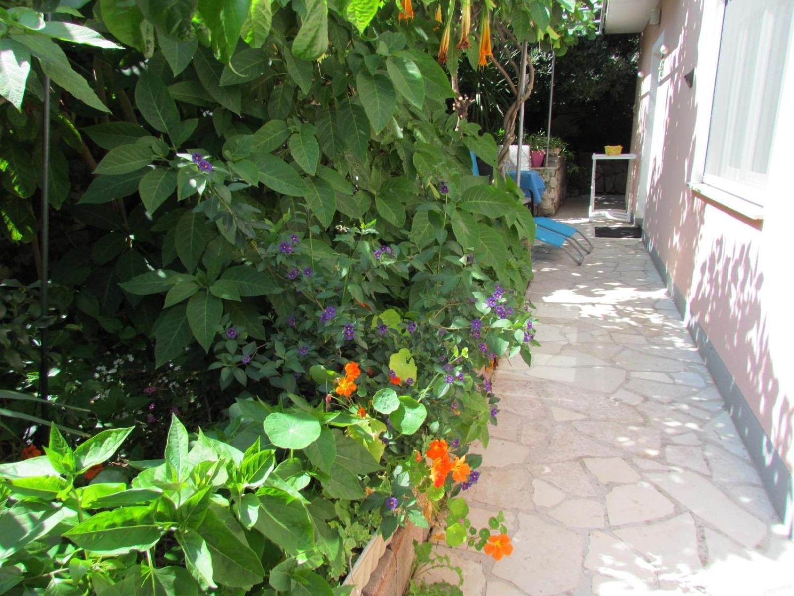 Apartments Bura & Jugo, Cres, Without Stress Ngoại thất bức ảnh